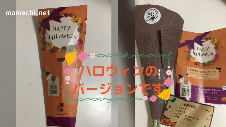 ブルーミーライフ4回目